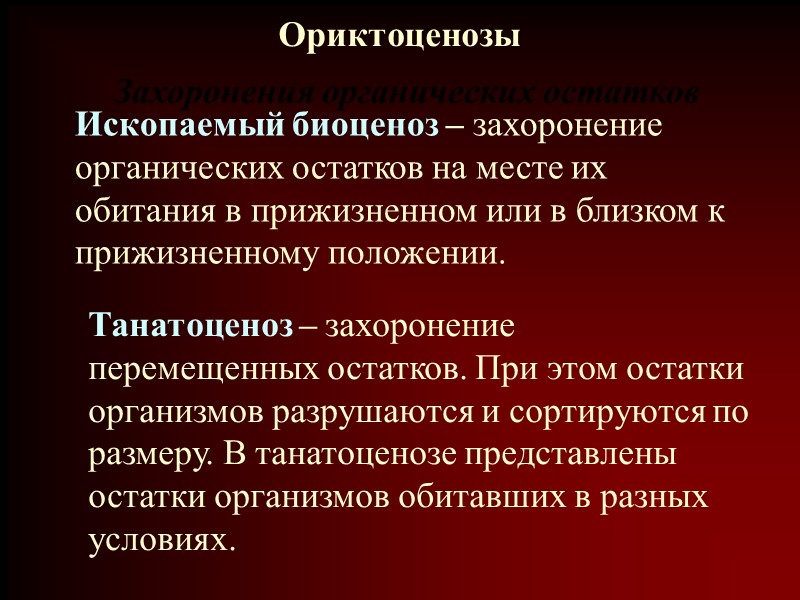 Ориктоценозы Захоронения органических остатков Ископаемый биоценоз – захоронение органических остатков на месте их обитания